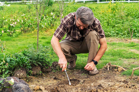 Weed Pulling Tool Selecting and Using