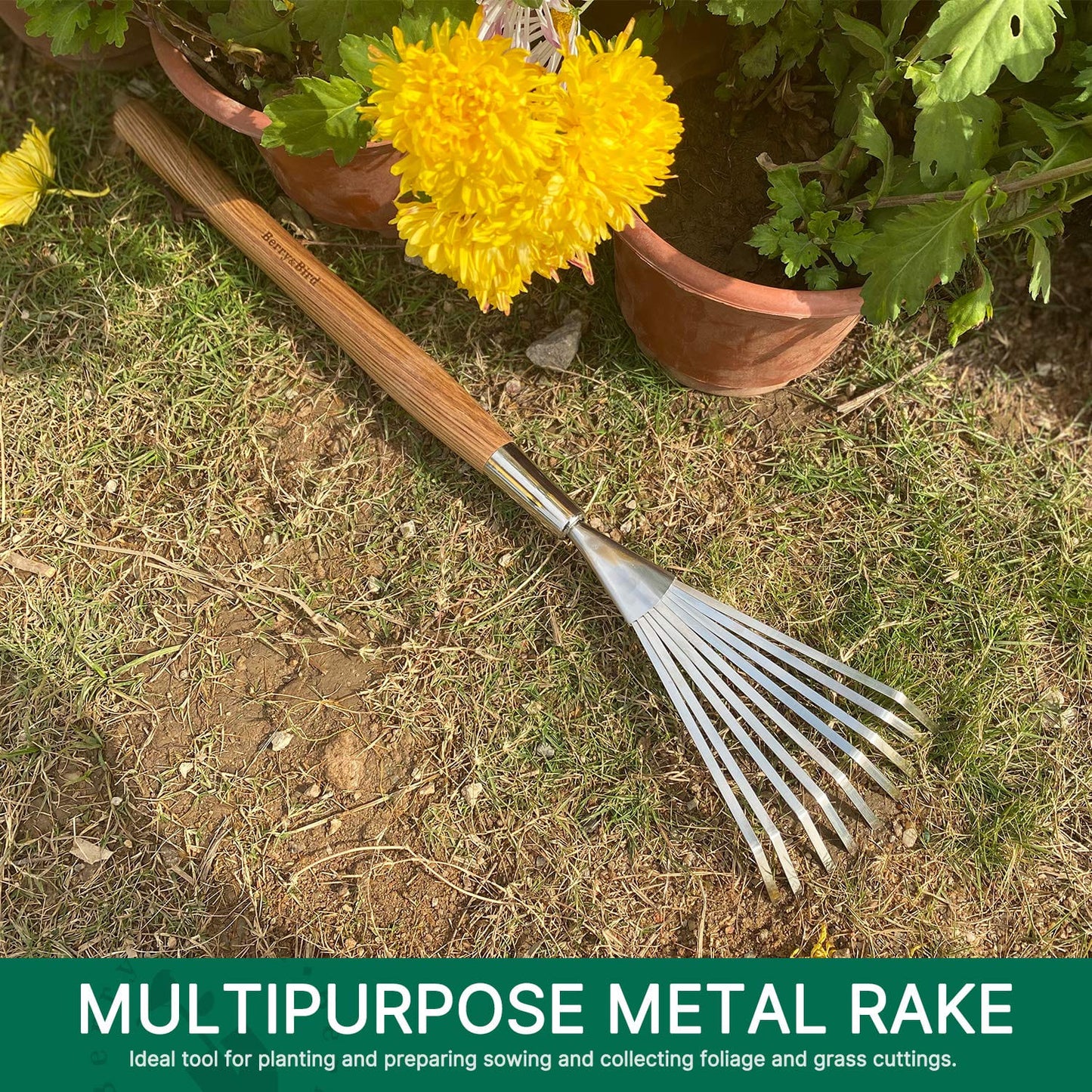 Garden Tools Grass Rake 26.8 inch Stainless Steel Grass Rake 9 Tines Fan Lawn Leaf with Wooden Handle