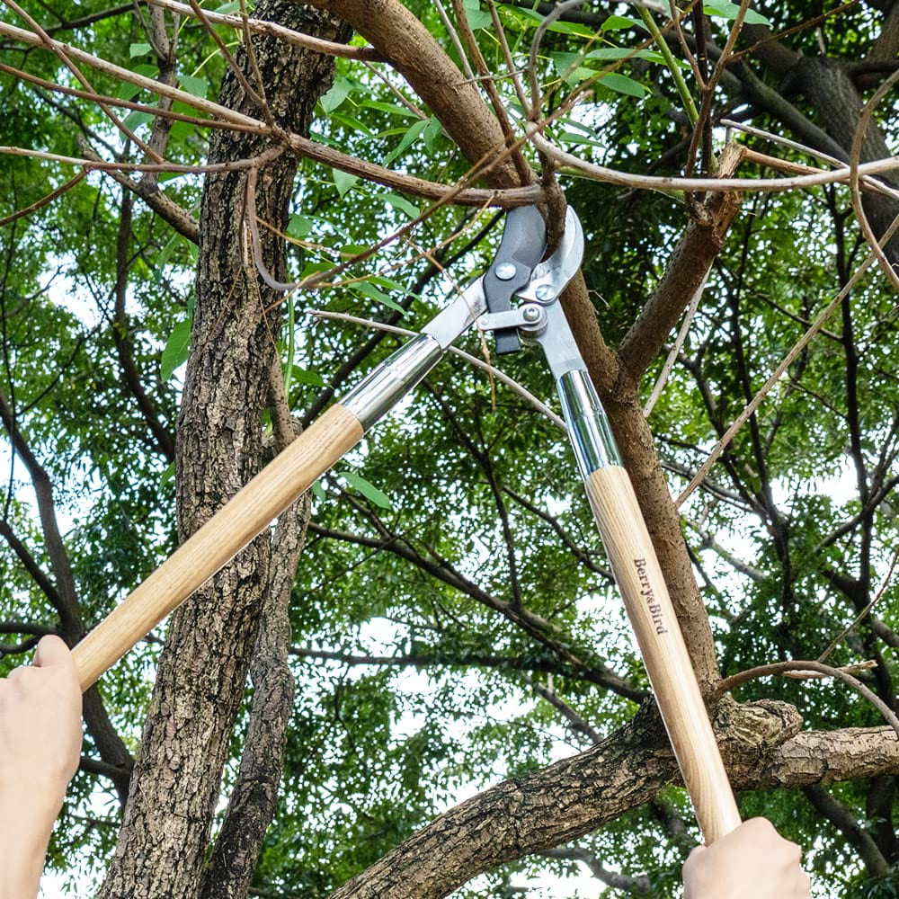 Long loppers store for trees